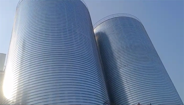 瓜州2座混凝土高架卷板仓